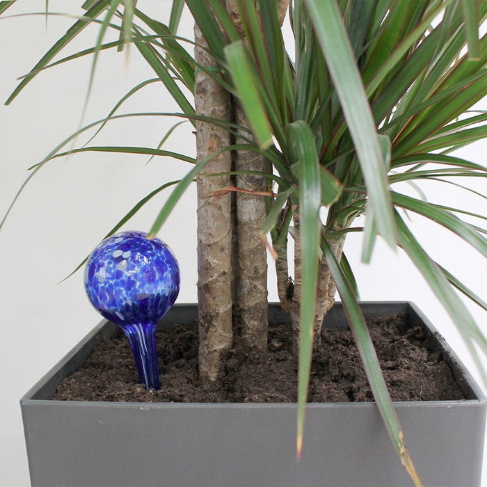 Dispensador,de,agua,para,plantas,con,mini,goteo,Juego,de,2Uds,regar,plantas, regar,petunias, jardinería, regar,plantas,de,exterior, plantas,con,flores, jardinero, sistema,de,riego, plantas,casa,