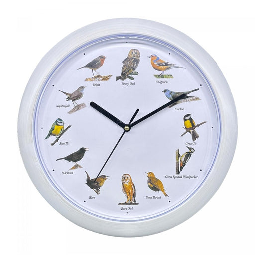 Reloj de pared con sonido de pájaros Europeos - Blanco | BronHome© -Bronmart