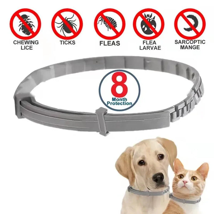 Collar Antipulgas y Garrapatas para Mascotas - Protección de 8 Meses
